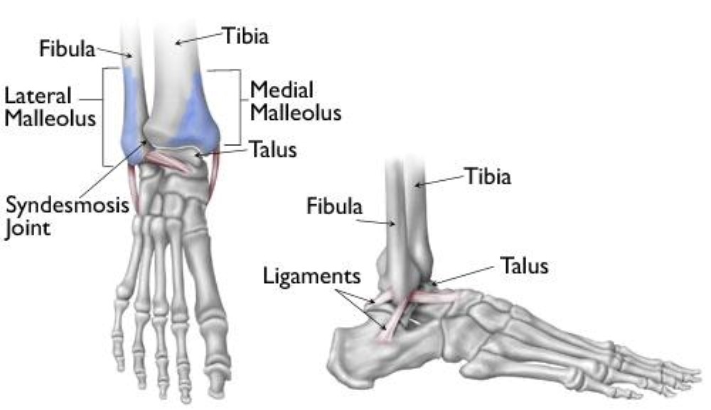 ayak-bile-i-k-r-tedavisi-ayak-cerrahi-uzman-prof-dr-tan-l-esemenli